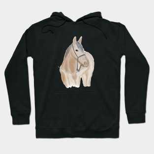 Watercolor Horse Hoodie